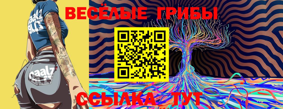 Псилоцибиновые грибы Magic Shrooms  Вход с VPN  Псилоцибиновые грибы Magic Shrooms  наркошоп  Новомосковск 